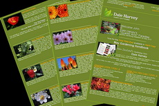 newsletter-230x153 newsletter-230x153