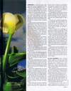 more magazine more 03-100x128