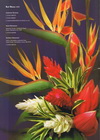 best blooms best blooms 02-100x140