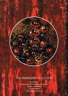 paragon collection paragon 02-100x140