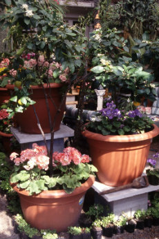 Containers Containers 028-230x347