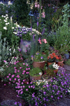 Containers Containers 035-230x347