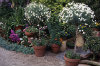 Containers Containers 053-100x66