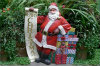 Christmas christmas 00-100x66