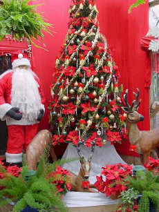 Our Cristmas christmas 01-230x307