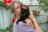 Yvonne Brown - Mad About Cats yvonne garden 06-100x66