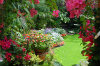 "Quarter Acre" Paradise Gardens quarter-acre-paradise 001-100x66