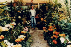 toorak jungles toorak jungles 01-230x153