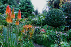 Winter Gardening Autumn Colour-230x153