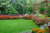 greening-up-lawns greening-up-lawns 10-100x66
