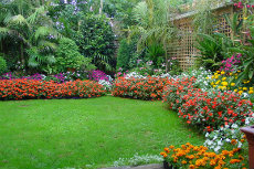 greening-up-lawns greening-up-lawns 10-230x153