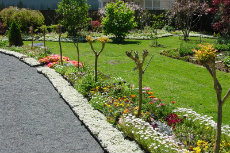 keep rolling out the carpet lawn-care 09-230x153