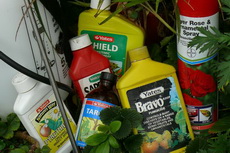 Spraying Time spray 01-230x153