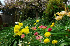 Flower Gardens Flower Gardens 04-230x153