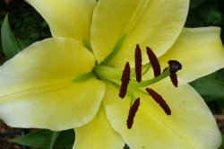 jandir2012-10-250x166 jandir2012-10-250x166