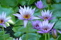 augdir2012-09 thumb augdir2012-09 thumb