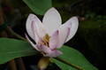juldir2012-04 thumb juldir2012-04 thumb