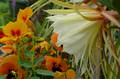 novdir2012-09 thumb novdir2012-09 thumb
